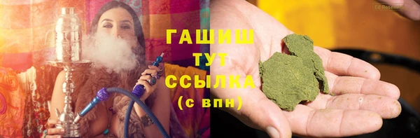 прущие грибы Краснотурьинск