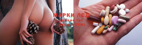 стафф Краснослободск
