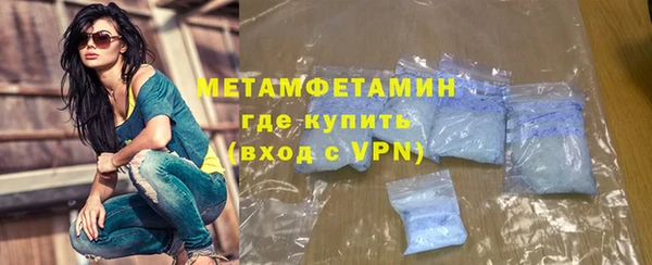прущие грибы Краснотурьинск