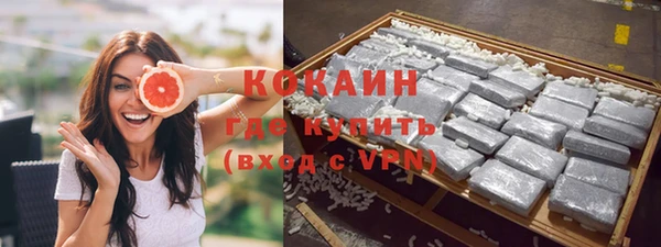 прущие грибы Краснотурьинск