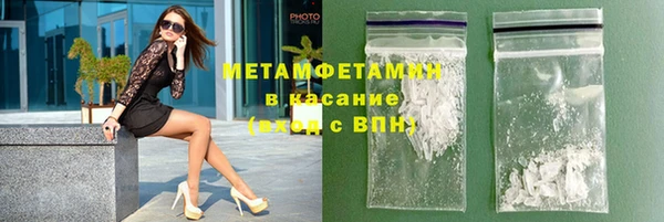 прущие грибы Краснотурьинск